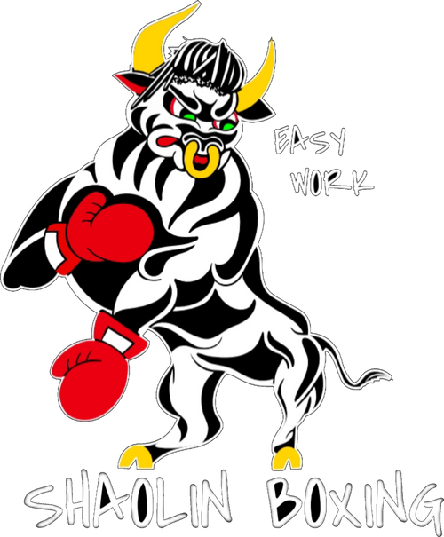 Shaolinboxing